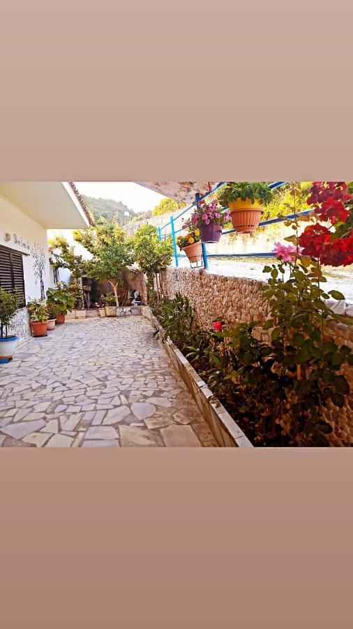 Olive Tree Villa Lygia  Zewnętrze zdjęcie