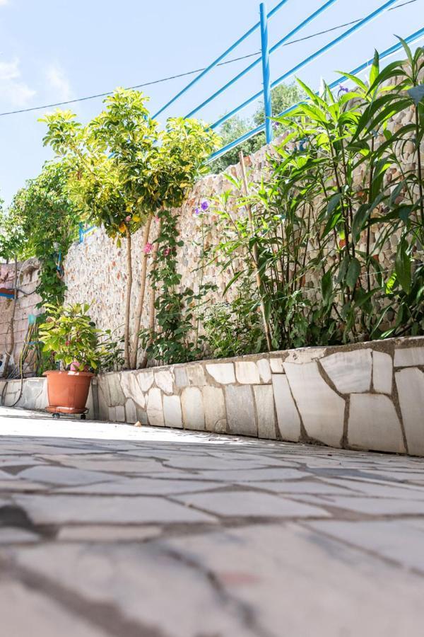 Olive Tree Villa Lygia  Zewnętrze zdjęcie