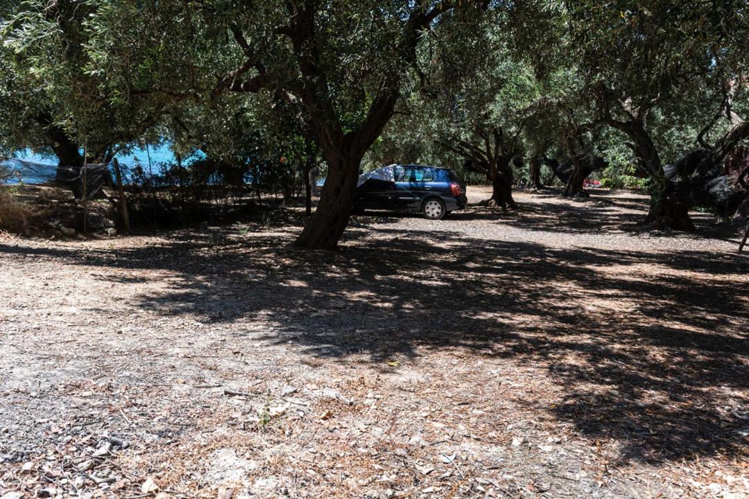 Olive Tree Villa Lygia  Zewnętrze zdjęcie