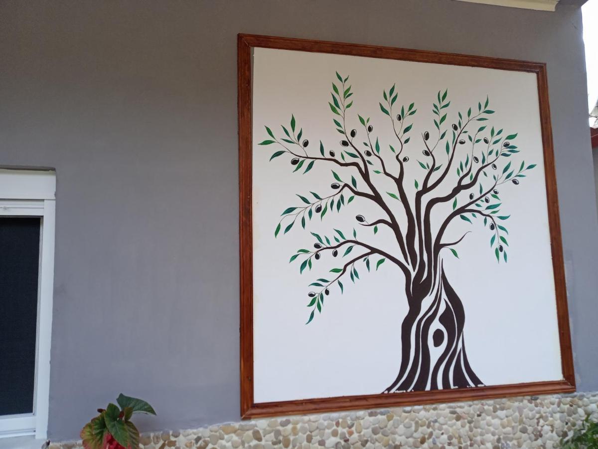 Olive Tree Villa Lygia  Zewnętrze zdjęcie